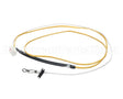 308F-2046 Rinnai Thermistor Assy (711) 263Fa