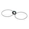 31-01-323 Compatible Falcon Seal Kit