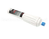 310063 Waterspec Filter Cs-250