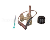3101353 Hussmann Valve-Liquid Inject 998-0746-0