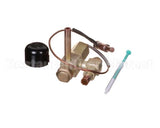 3101353 Hussmann Valve-Liquid Inject 998-0746-0