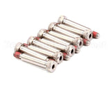 310P207 Antunes #10-32 X 1 Hex Socket