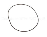 31233 Insinger O Ring Aqua Scrubber