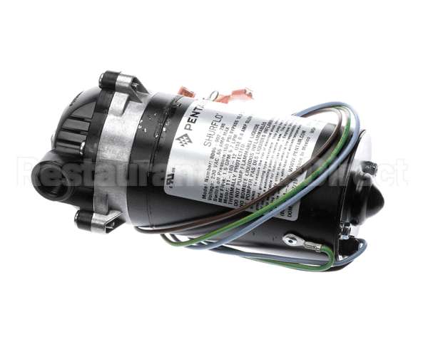 3149 Cornelius Pump / Mot 230V 50/60 Hz