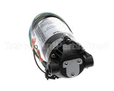 3149 Cornelius Pump / Mot 230V 50/60 Hz