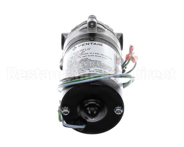 3149 Cornelius Pump / Mot 230V 50/60 Hz