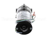 3149 Cornelius Pump / Mot 230V 50/60 Hz