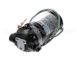 3149 Cornelius Pump / Mot 230V 50/60 Hz