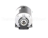 315183000 Cornelius Motor Pump 1/3 120/60 1725Rpm