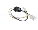 315789-751 Bryant Payne Harness-Pilot