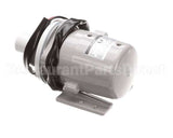 316043A09 Hoshizaki Pump (60Hz/50Hz)