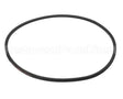31606010001000 Doyon V Belt Spz 1000