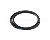 31606010001800 Doyon V Belt Spz1800