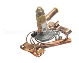 32-20431 Federal Industries Thermo Expansion Valve