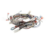 32263.0000 Bunn Wiring Harn,Main 120V Ultra-2