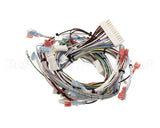 32263.0000 Bunn Wiring Harn,Main 120V Ultra-2