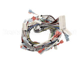 32263.0000 Bunn Wiring Harn,Main 120V Ultra-2