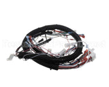32263.0008 Bunn Wiring Harness, Main Ultra Nx