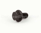 3250176 Antunes Screw, Flange Hex Head