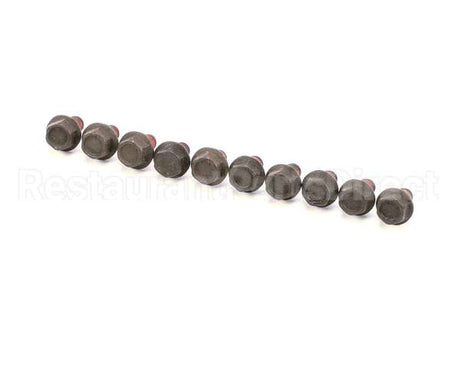 325P176 Antunes Screw, 1/4"-28 X 5/16" 10 Pack