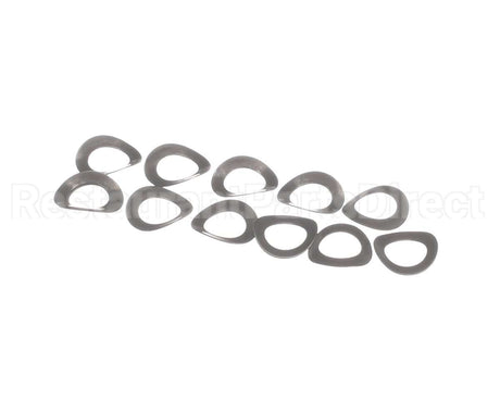 325P203 Antunes Spring Steel Washer