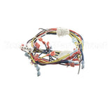 33075 Blodgett Harness, Control 208/240 Kfc