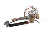 331709-752 Bryant Payne Kit Valve Txv Replacement