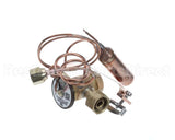 331709-755 Bryant Payne R410A 3Ton Tx Valve Kit