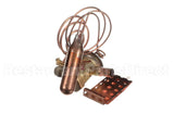 332368-753 Bryant Payne Txv Replacement Kit