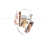 332368-761 Bryant Payne Replacement Txv Kit