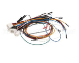 33573 Imperial Icv-G (New Model) Wire Harness