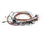 33573 Imperial Icv-G (New Model) Wire Harness