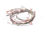 33634.0001 Bunn Wiring Harness,Main Dual Sh