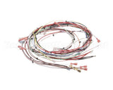 33634.0001 Bunn Wiring Harness,Main Dual Sh