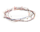 33634.0014 Bunn Wiring Harn,Main(Dual Sh)