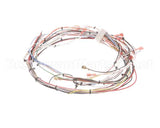 33634.0014 Bunn Wiring Harn,Main(Dual Sh)