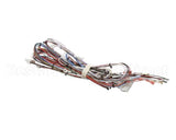 33634.0040 Bunn Wiring Harn,Main- Dual Sh