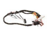 33713 Power Soak Systems Harness Internal Wiring Ps-225