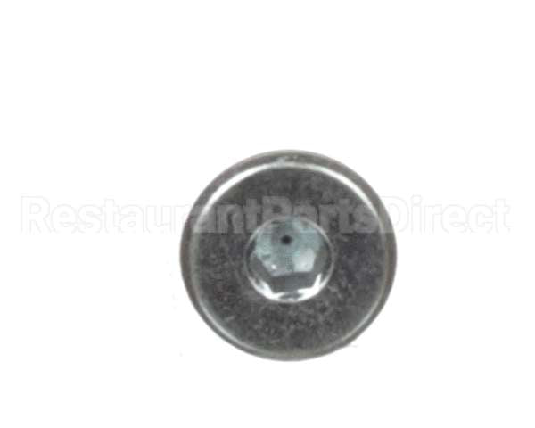 3371999009 Schaerer Hex Socket Cap Scr. L.h. M6X8 Galv.
