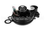 337938-784-CBP Bryant Payne Inducer