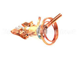 3388 Preprite Desmon Thermal Expansion Valve R300152U