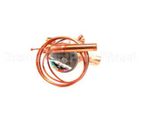 3388 Preprite Desmon Thermal Expansion Valve R300152U