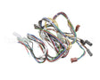 33Z0009 Merrychef E4 Low Voltage Loom