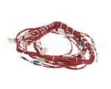33Z0052 Merrychef Main Loom Wiring Harness