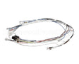 34055.0000 Bunn Wiring Harness, Cbdc - Dv