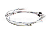 34055.0000 Bunn Wiring Harness, Cbdc - Dv