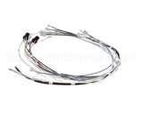 34055.0000 Bunn Wiring Harness, Cbdc - Dv