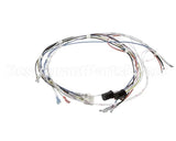 34055.0000 Bunn Wiring Harness, Cbdc - Dv