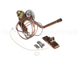 340620-704 Bryant Payne Txv Kit