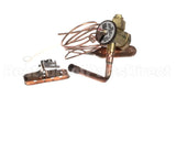 340620-704 Bryant Payne Txv Kit